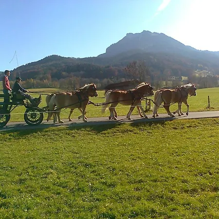 Hotel Sonnenkaiser