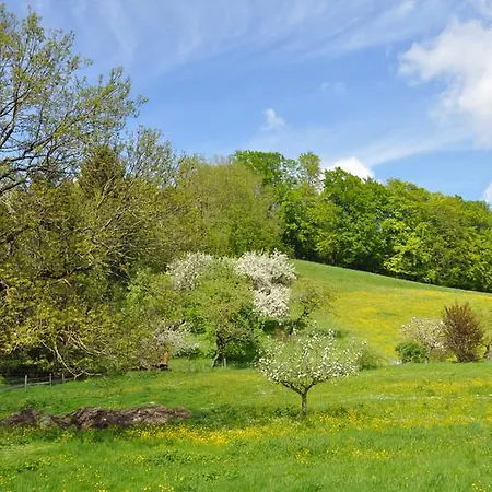 Hotell Sonnenkaiser 3*
