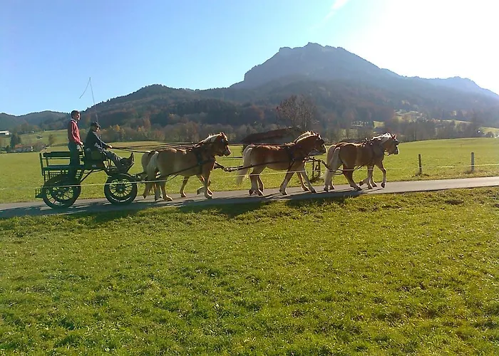 Отель Sonnenkaiser